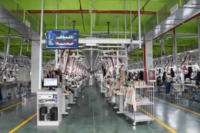 新動能澎湃新活力！桐鄉今年引進數字經濟項目253個，網絡技術服務引領轉型